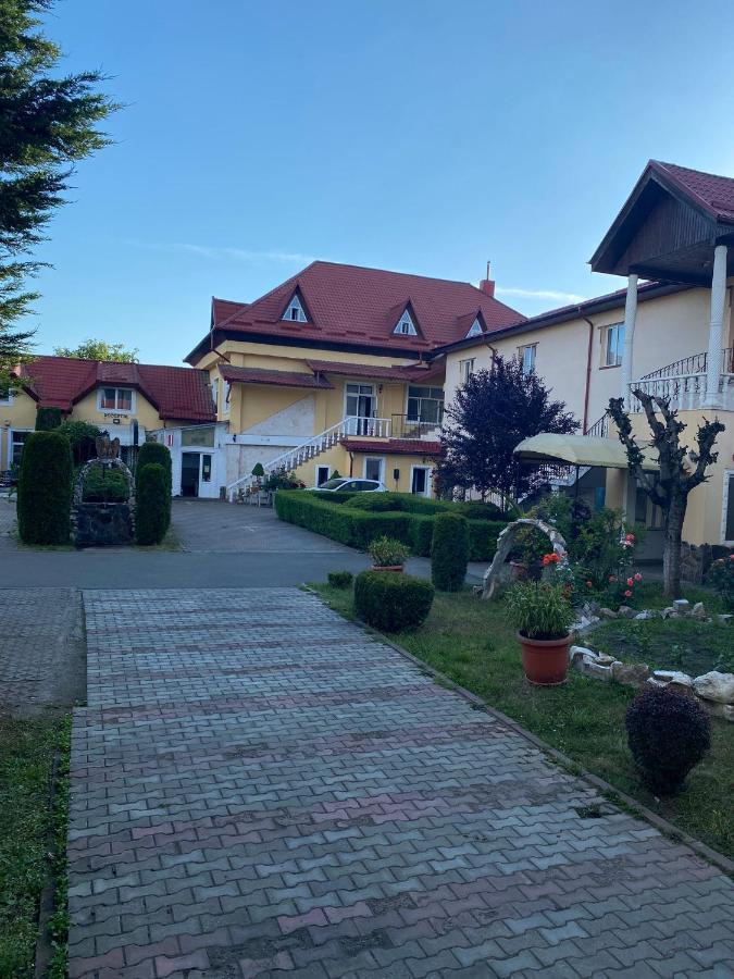 Pensiunea Viena Targu Mures Exterior foto