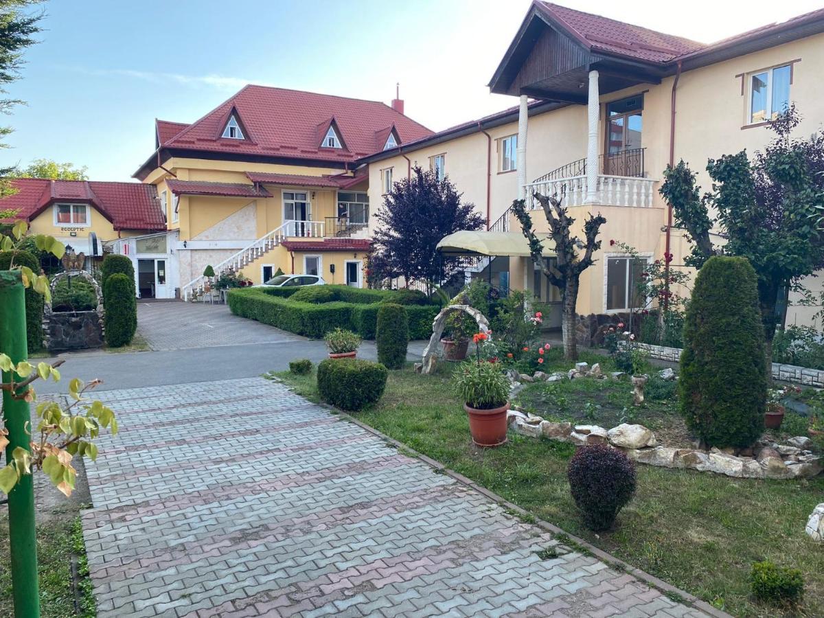 Pensiunea Viena Targu Mures Exterior foto